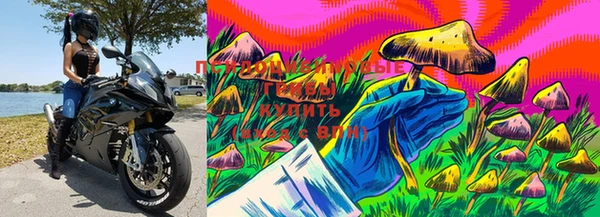 прущая мука Богородицк