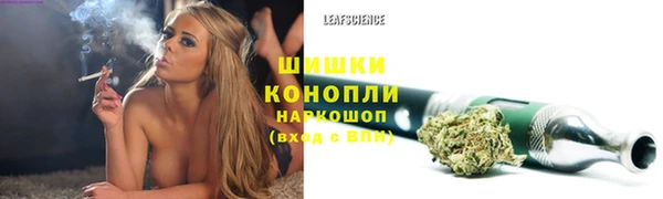 МДПВ Осташков