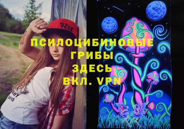 прущая мука Богородицк
