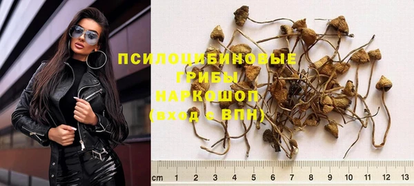 прущая мука Богородицк