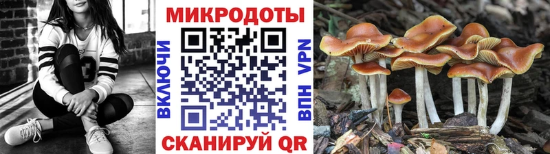 МЕГА зеркало  Севастополь  Галлюциногенные грибы GOLDEN TEACHER 